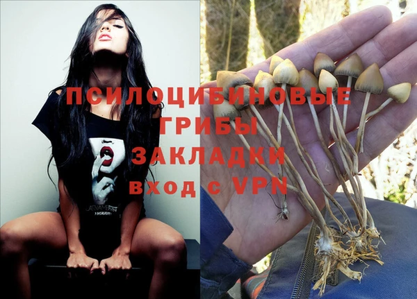 стаф Алексеевка