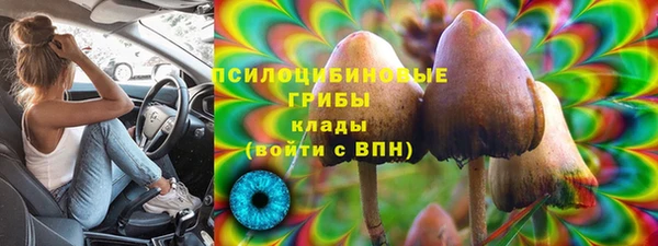 стаф Алексеевка